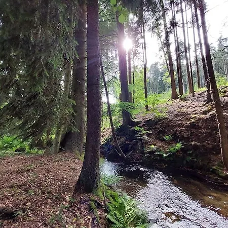 Off-grid Near River And Forest! Liberk
