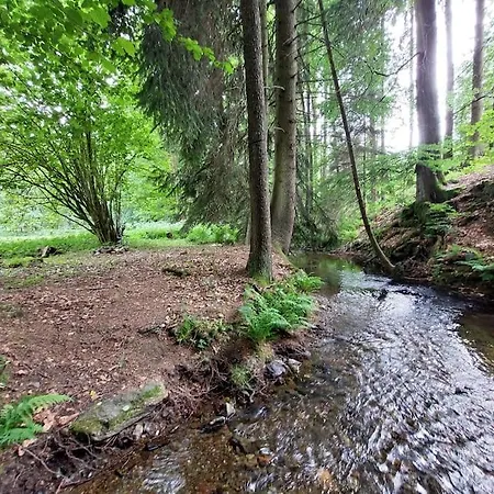 Alpehytte Off-grid Near River And Forest! *